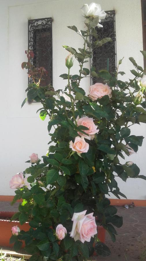 Bed and Breakfast Casa Dos Pingos De Mel Aveiro Exterior foto