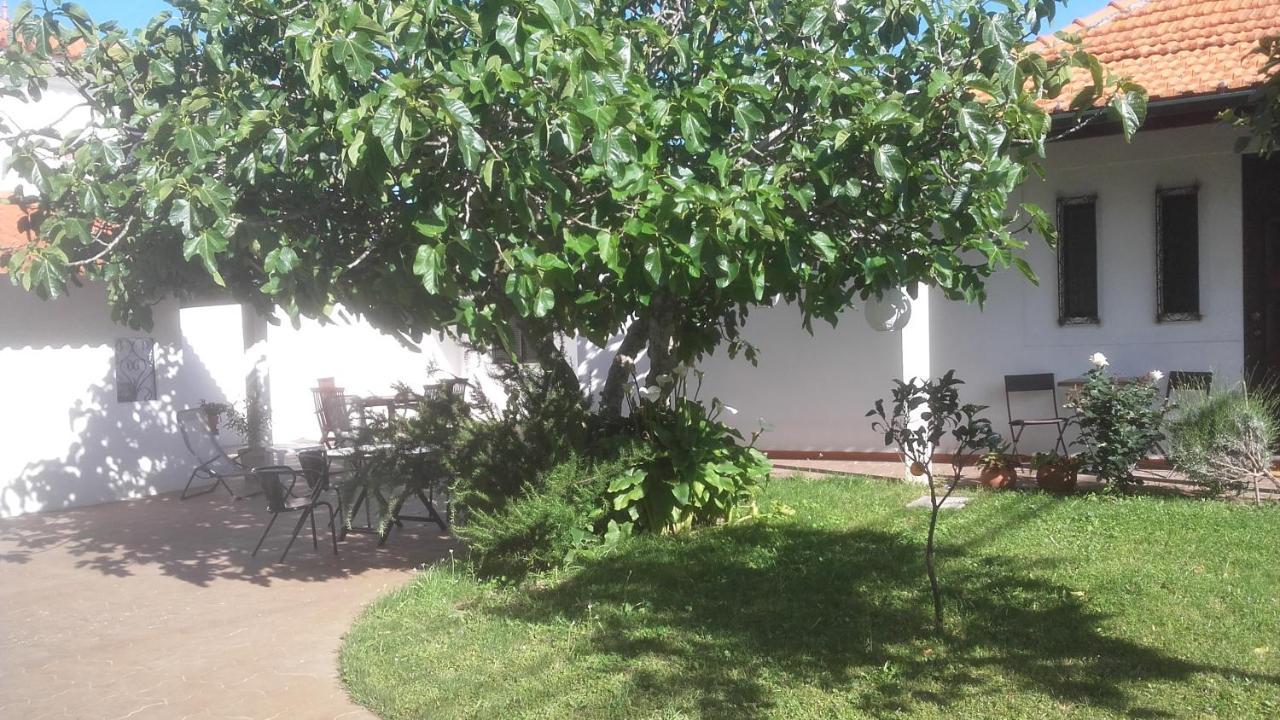 Bed and Breakfast Casa Dos Pingos De Mel Aveiro Exterior foto